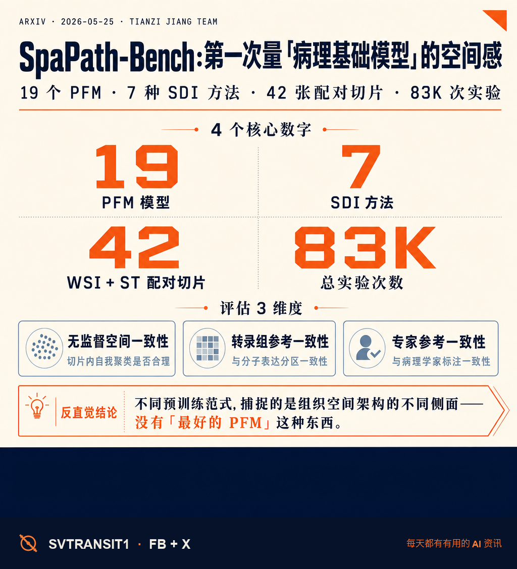 医学影像 AI 今天上了一份你大概率没看到、但接下来一年所有做计算病理的人都得读的论文——SpaPath-Bench,中科院自动化所 (Tianzi Jiang 团队) + 合作者把 19 个病理基础模型 (Pathology Foundation Model) 拉到一张桌子上,跑了 83K 次评估,问一个被业内忽略很久的问题:这些模型到底在「看」什么?🔬